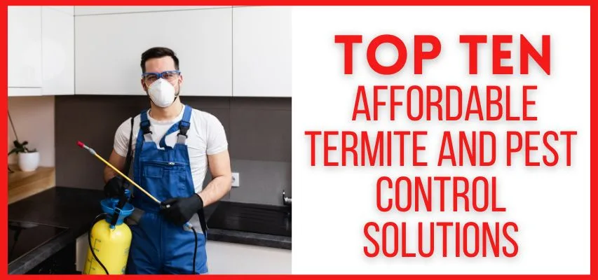 Top 10 Affordable Termite and Pest Control Solutions