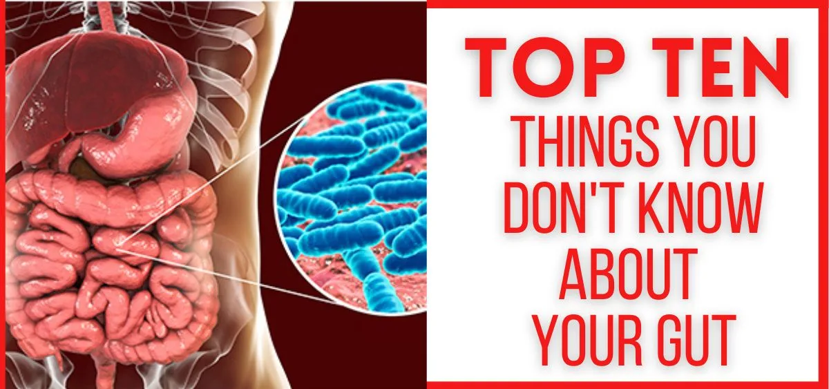 Ten Things You Don't Know About Your Gut