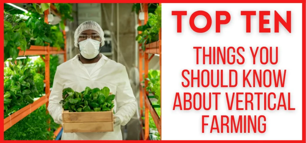 Discover the future of agriculture with our comprehensive guide on the Top Ten Things You Should Know About Vertical Farming.