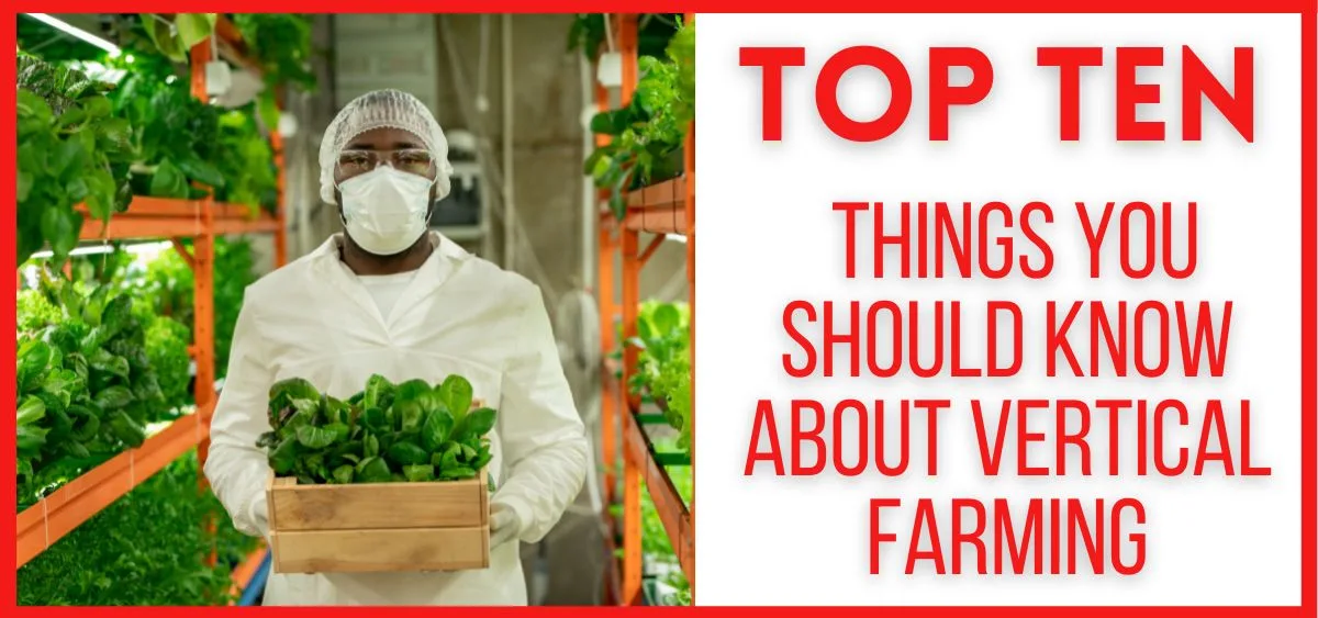 Discover the future of agriculture with our comprehensive guide on the Top Ten Things You Should Know About Vertical Farming.