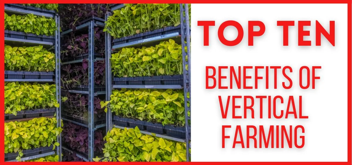 top ten benefits of vertical farming