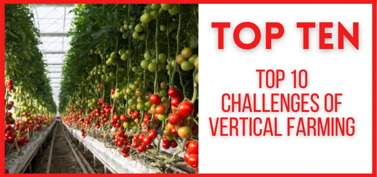 top ten challenges of verical farming