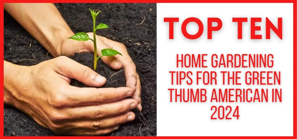 Top 10 Home Gardening Tips for the Green Thumb American in 2024