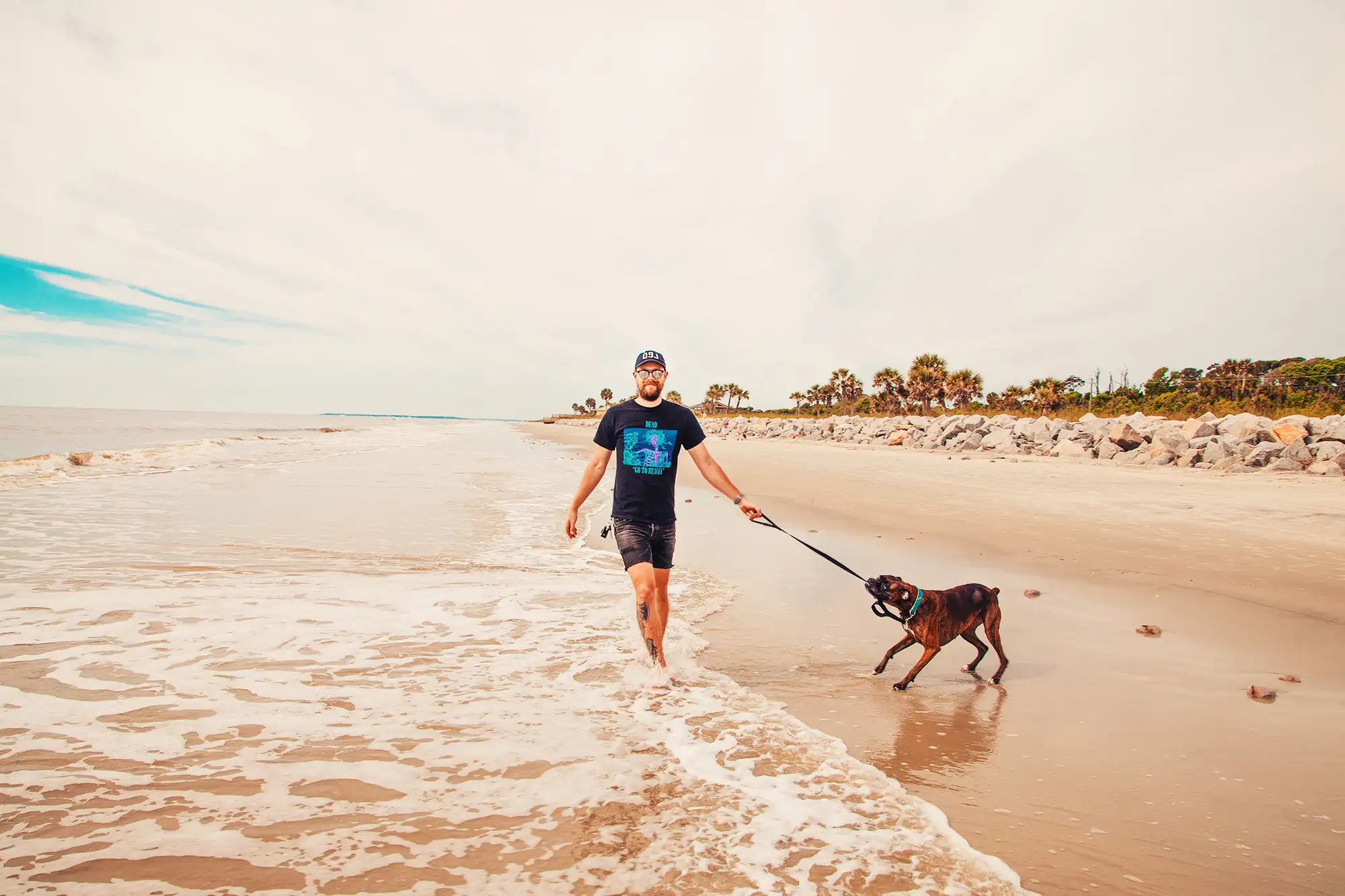 showing the image of " Jekyll Island, Georgia", one of the Top 10 Dog-friendly beaches in the USA