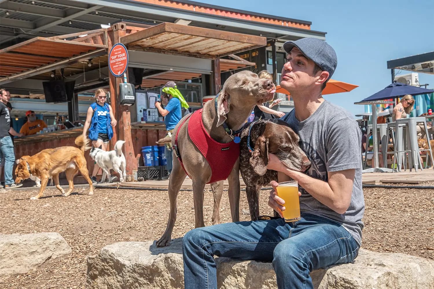 showing the image of " Ray's & Stark Bar ", one of the Top 10 Dog Bars in the USA