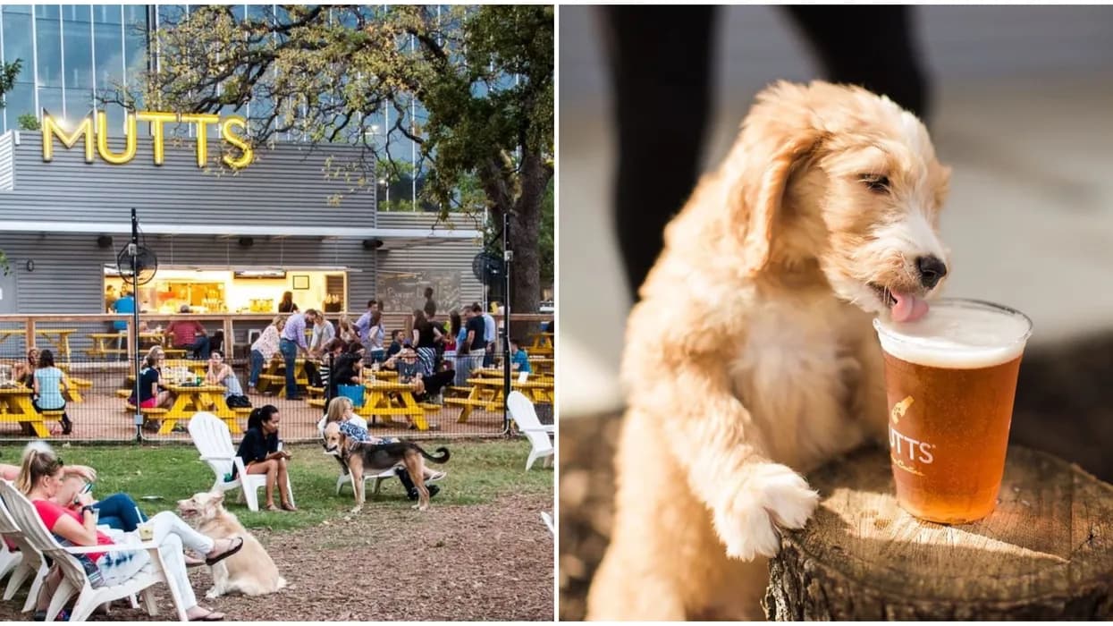 showing the image of " Mutts Canine Cantina ", one of the Top 10 Dog Bars in the USA