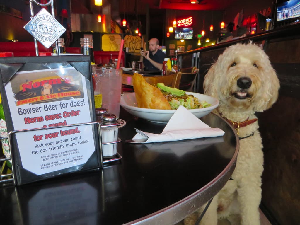 showing the image of " Norm's Eatery & Alehouse ", one of the Top 10 Dog Bars in the USA